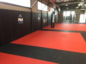 Gym Floor MMA