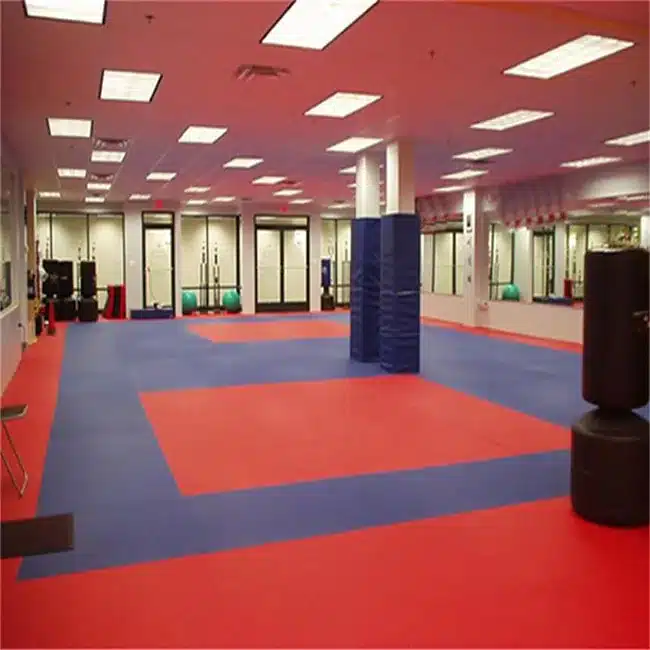 Judo hall with red and blue tatami mats
